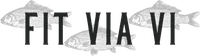 Fit Via Vi